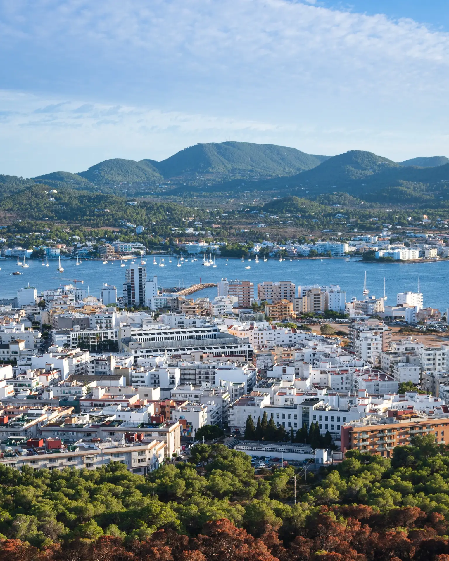 the San antonio Town in Ibiza seen from a burned mountai